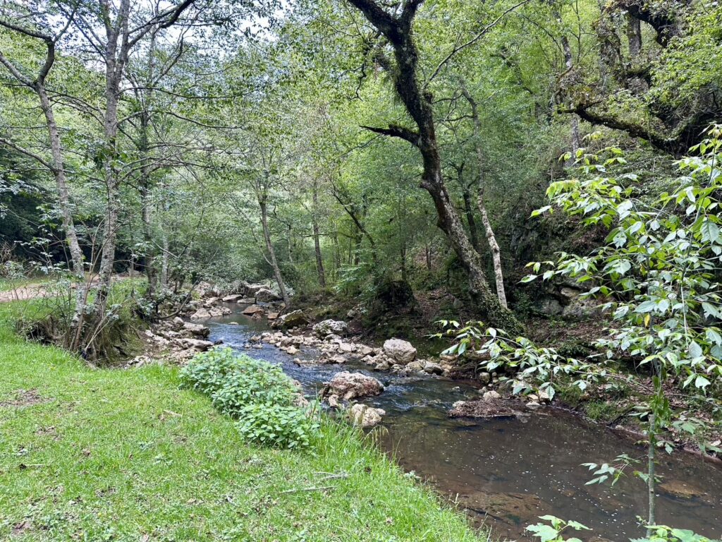 The Importance of Water for Transformation ~ A Message From the the Fogocito River, San Cristóbal de las Casas, Chiapas, Mexico
